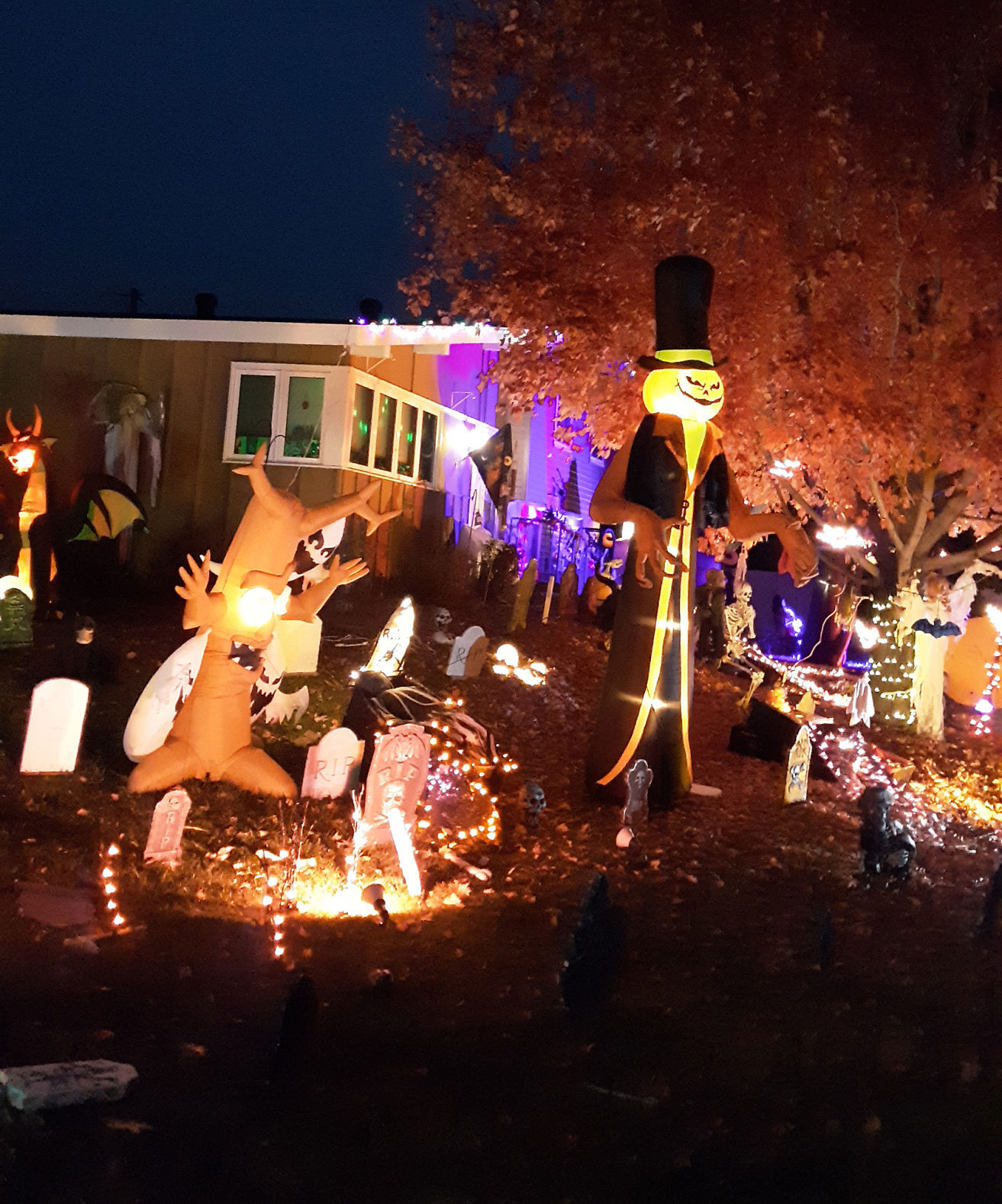 Halloween Houses